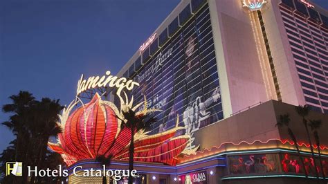 flamingo hotel las vegas youtube